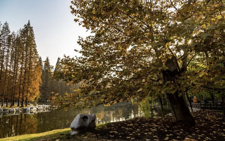 ์ฌ์ฉ์๊ฐ ์ฌ๋ฆฐ ์ด๋ฏธ์ง