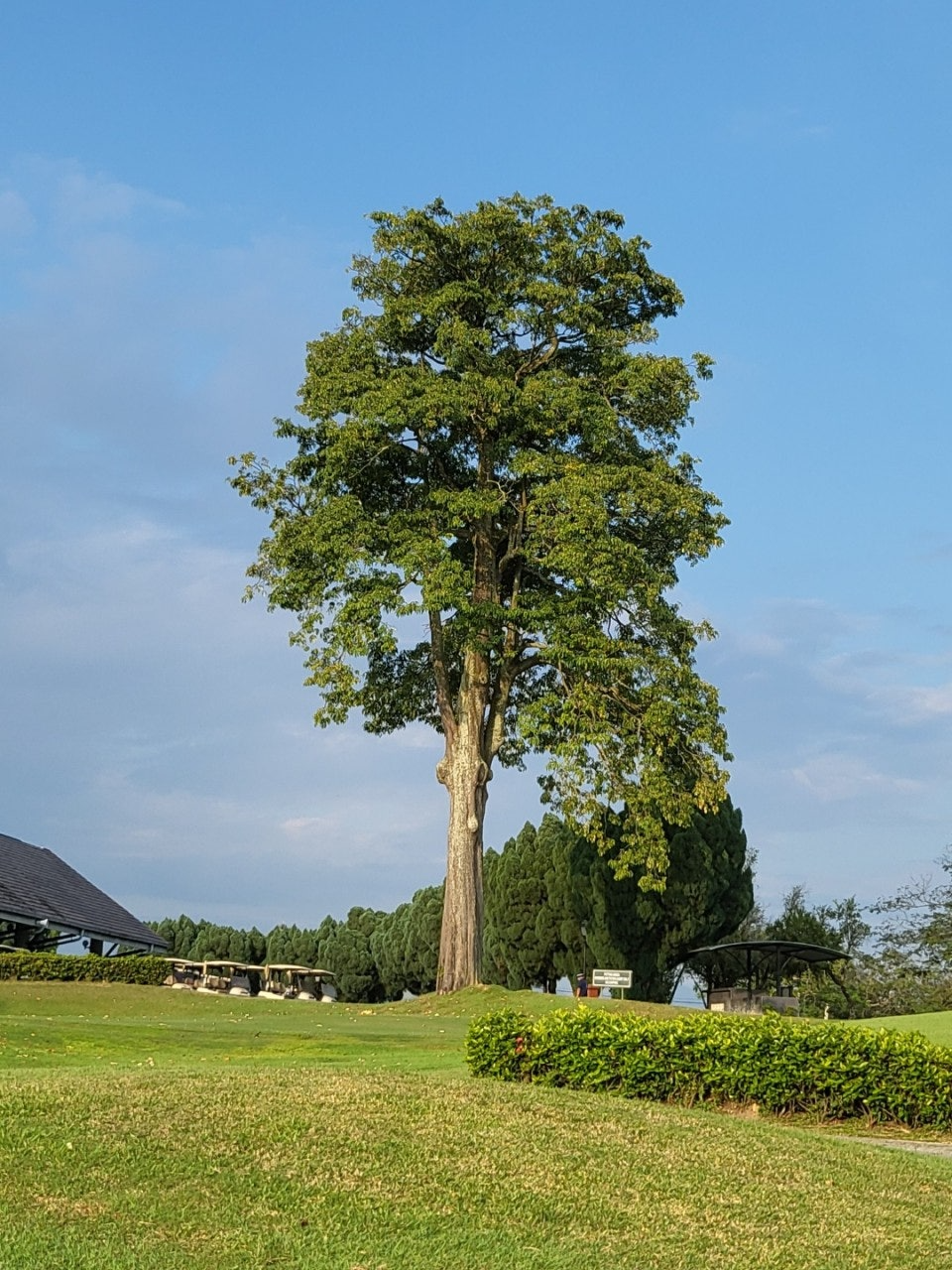 ์ฌ์ฉ์๊ฐ ์ฌ๋ฆฐ ์ด๋ฏธ์ง