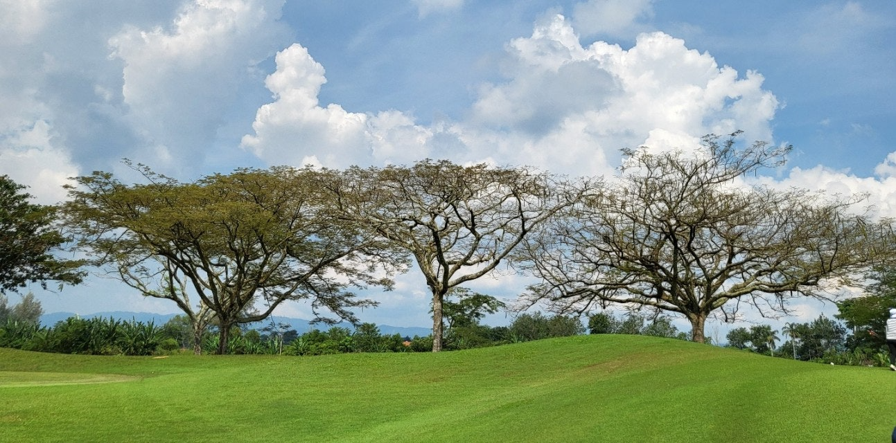 ์ฌ์ฉ์๊ฐ ์ฌ๋ฆฐ ์ด๋ฏธ์ง