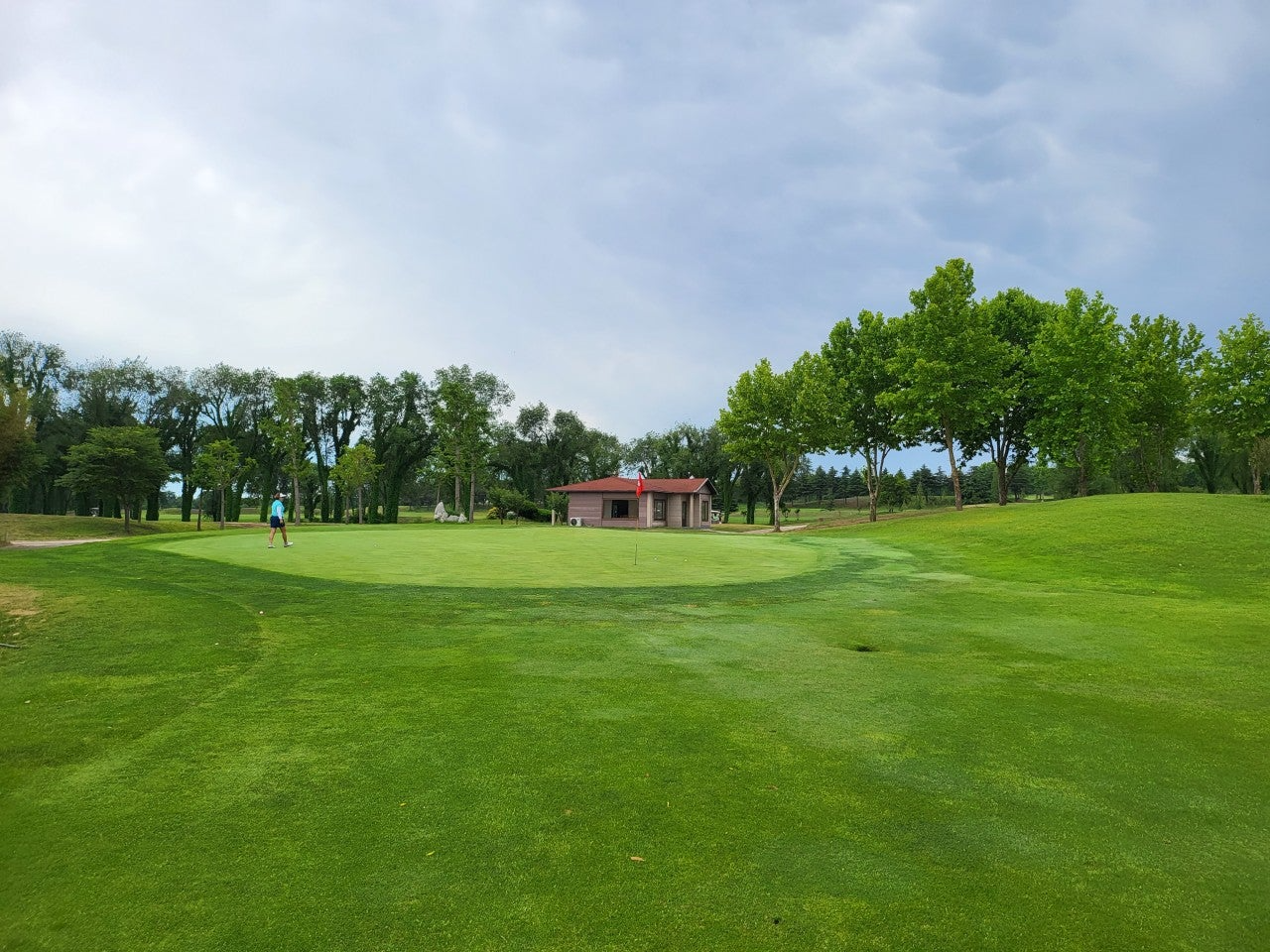 사용자가 올린 이미지