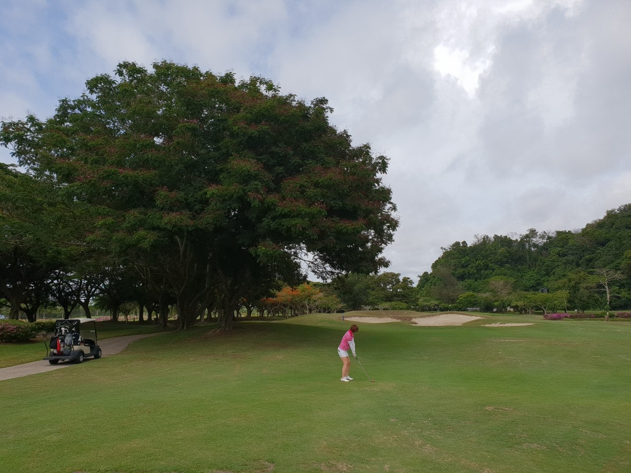 사용자가 올린 이미지