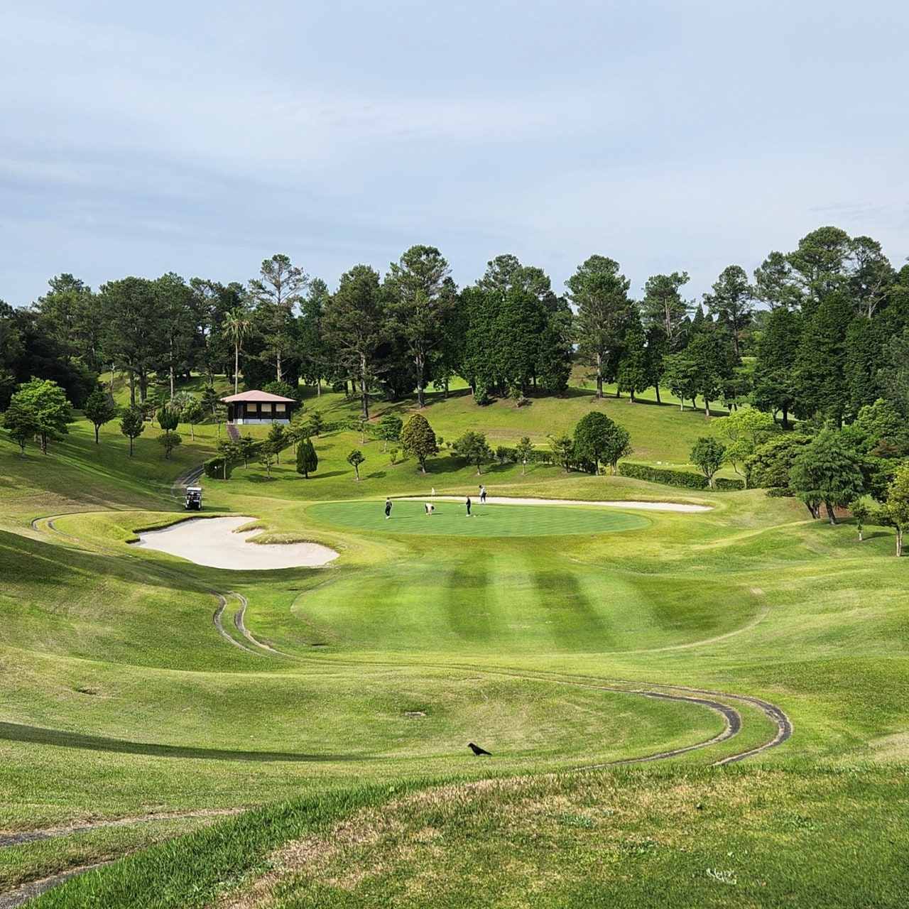 사용자가 올린 이미지