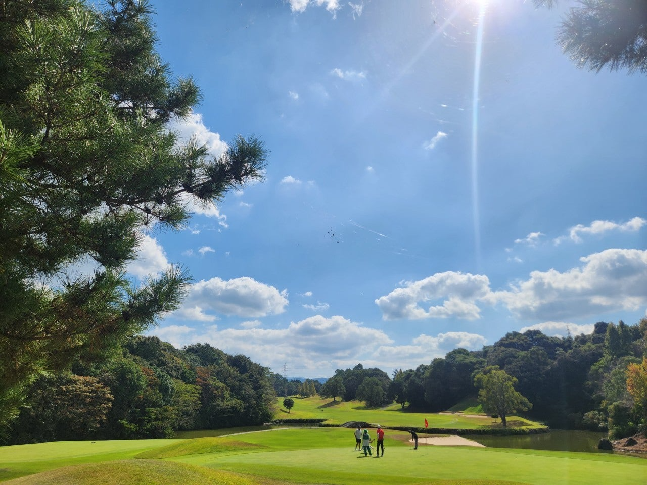 사용자가 올린 이미지