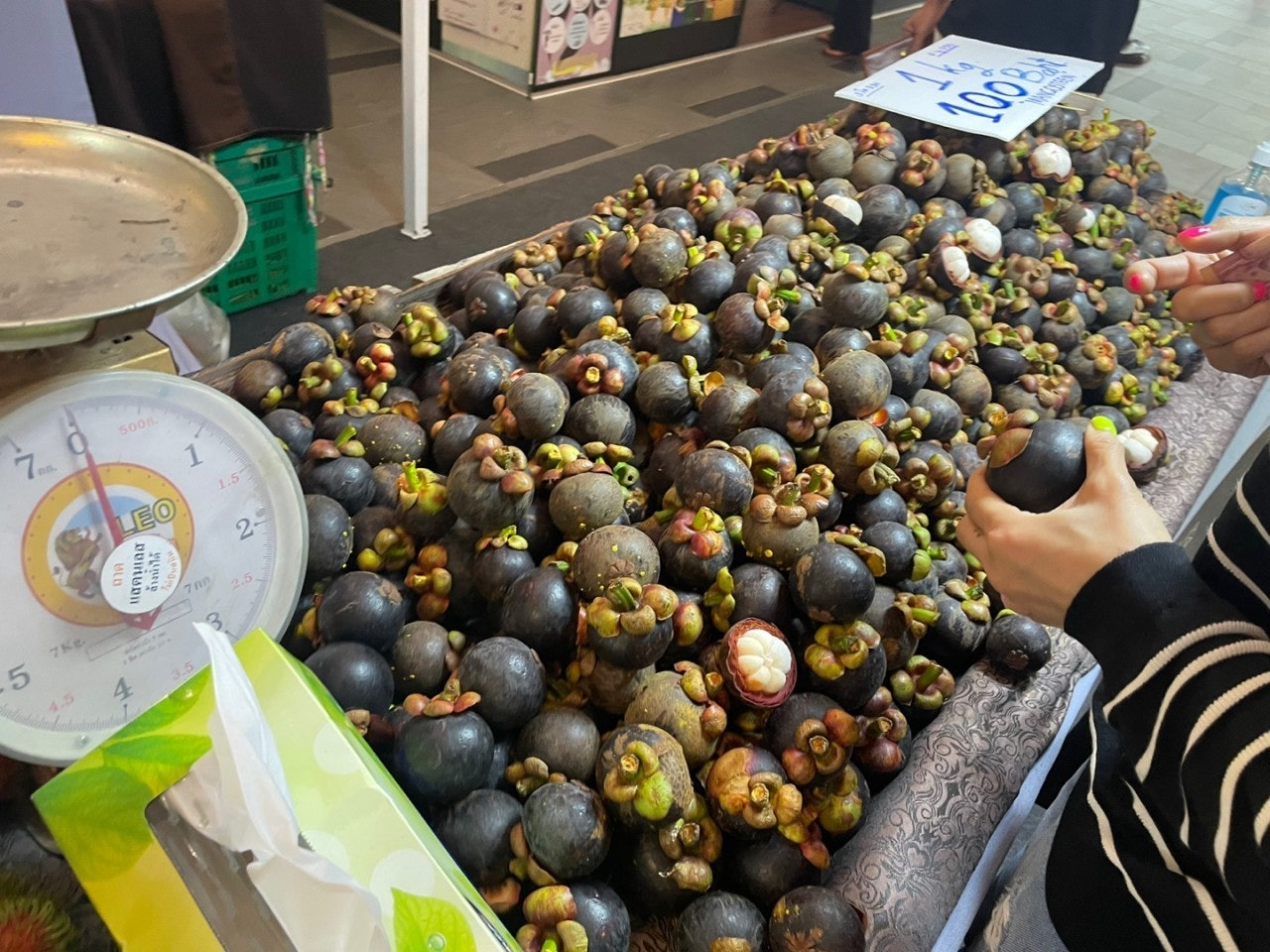 사용자가 올린 이미지