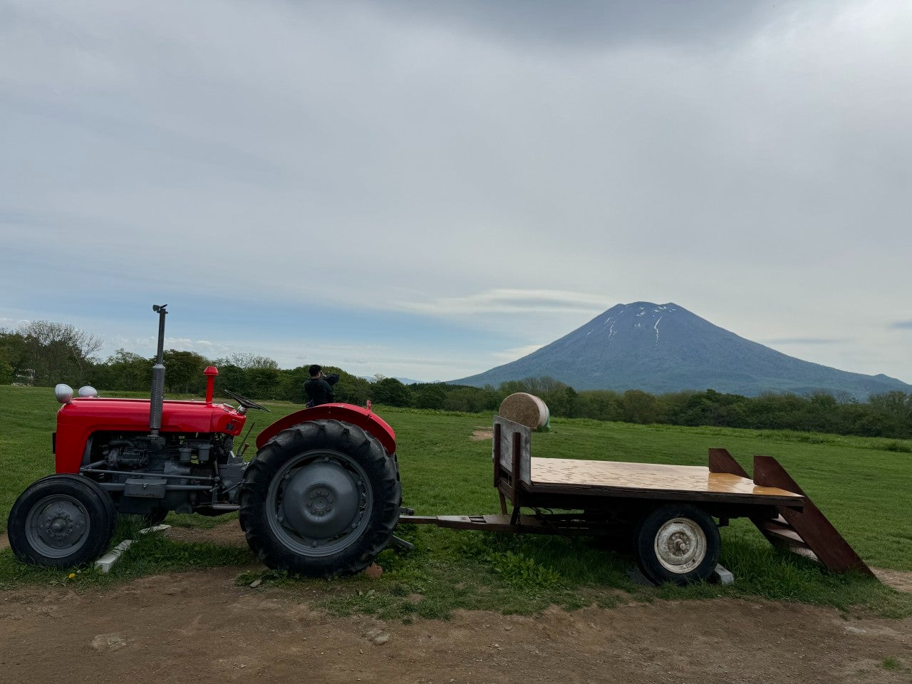 사용자가 올린 이미지