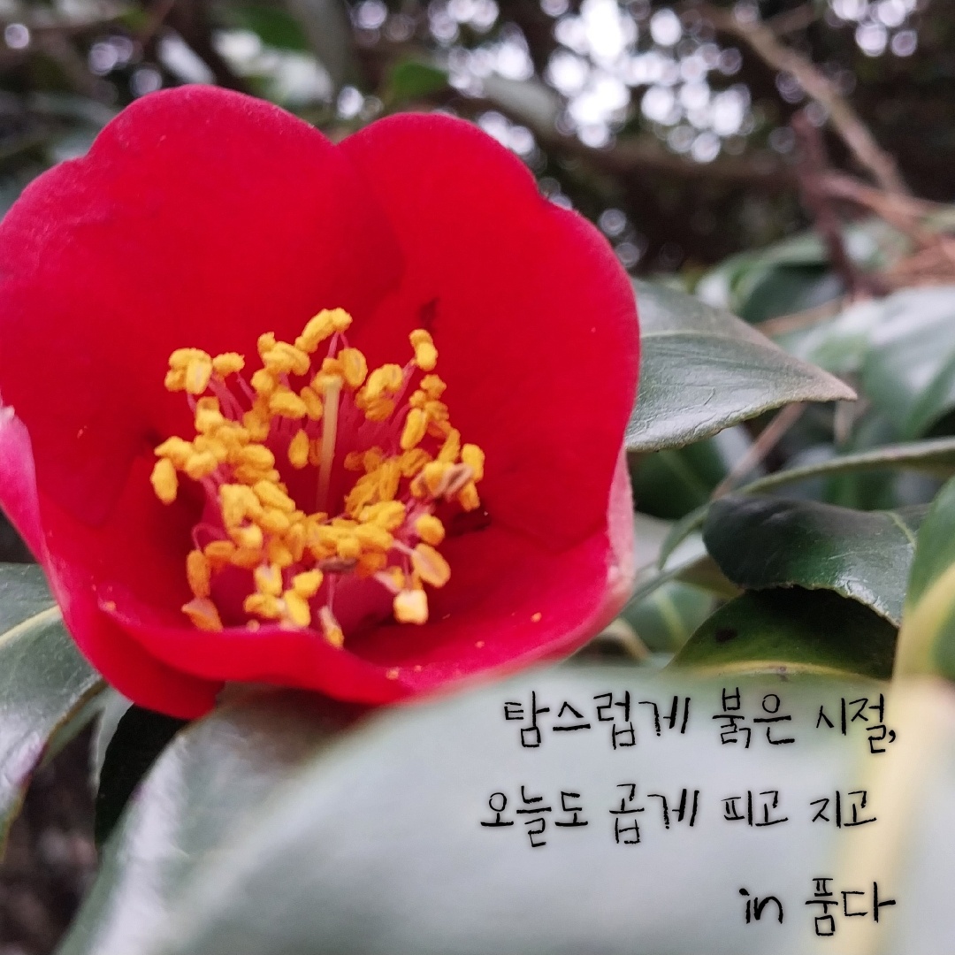 2553c9b480726.jpg