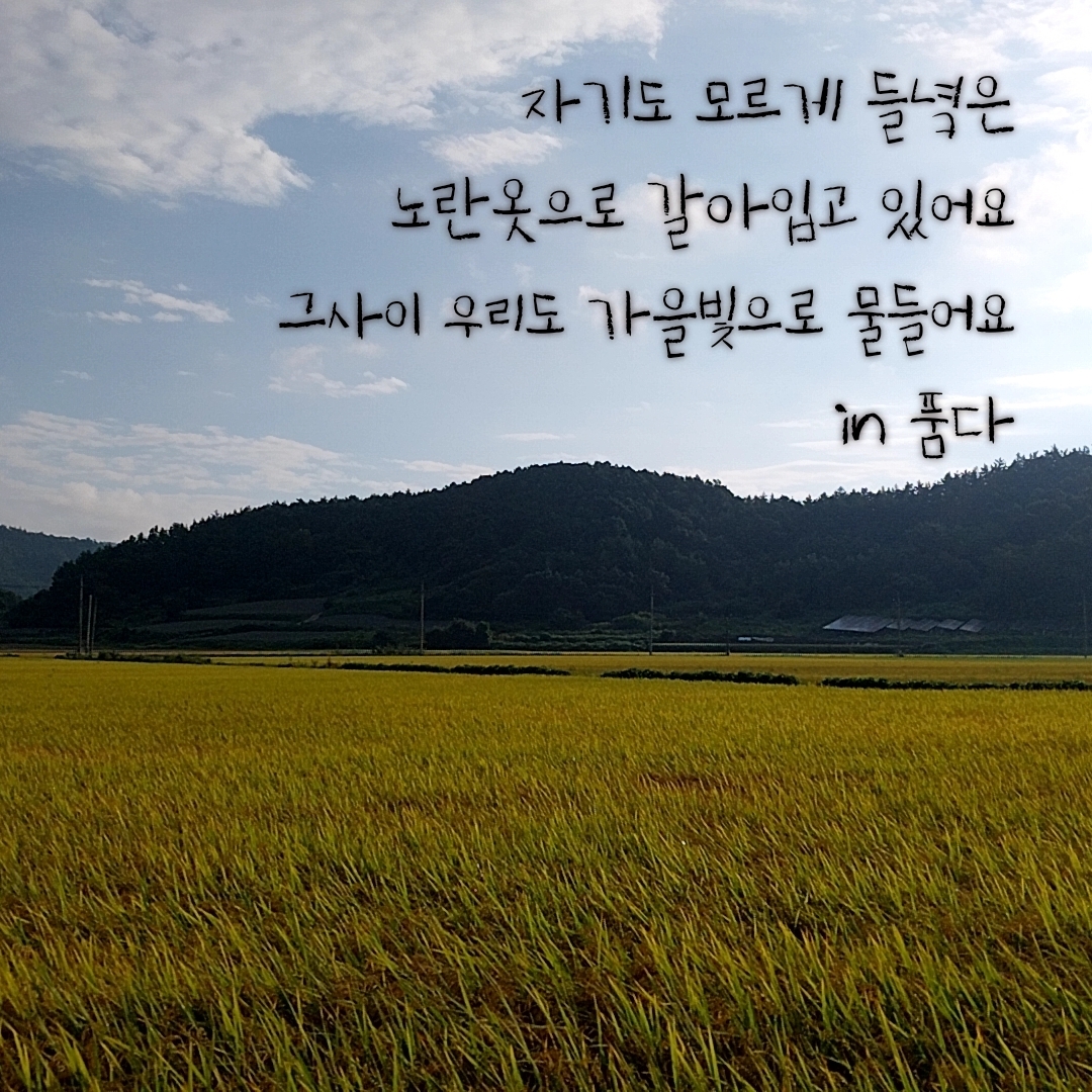 a692b01468b81.jpg