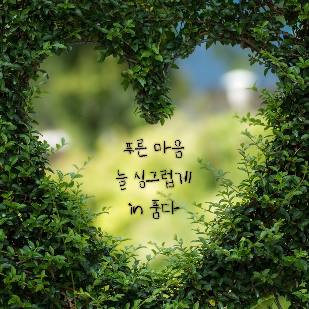 f492cd8e1b4a9.jpg