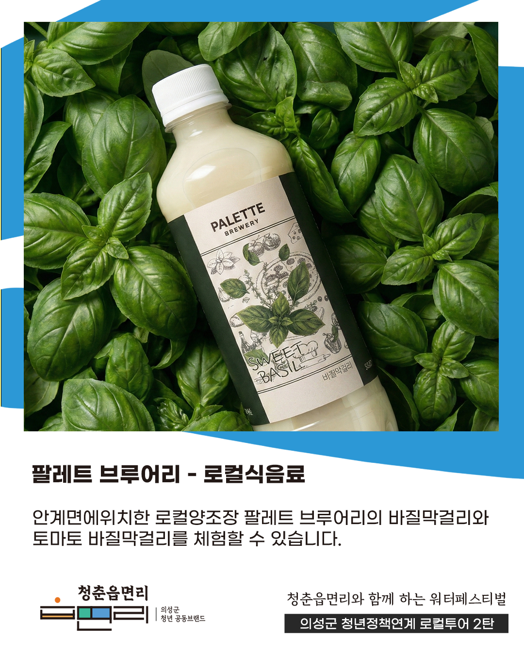 청춘읍면리 워터페스티벌 투어!
