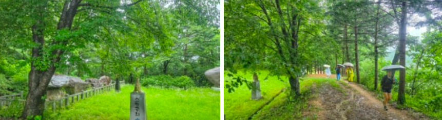403d3df322b19.png