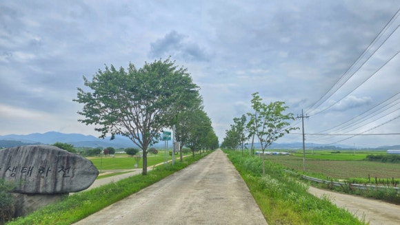 779d13a8cdb44.png