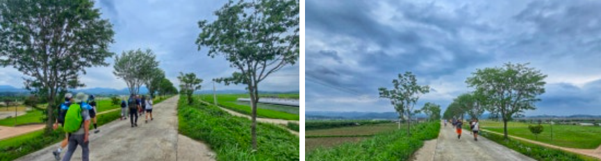 ce9c04f146f39.png