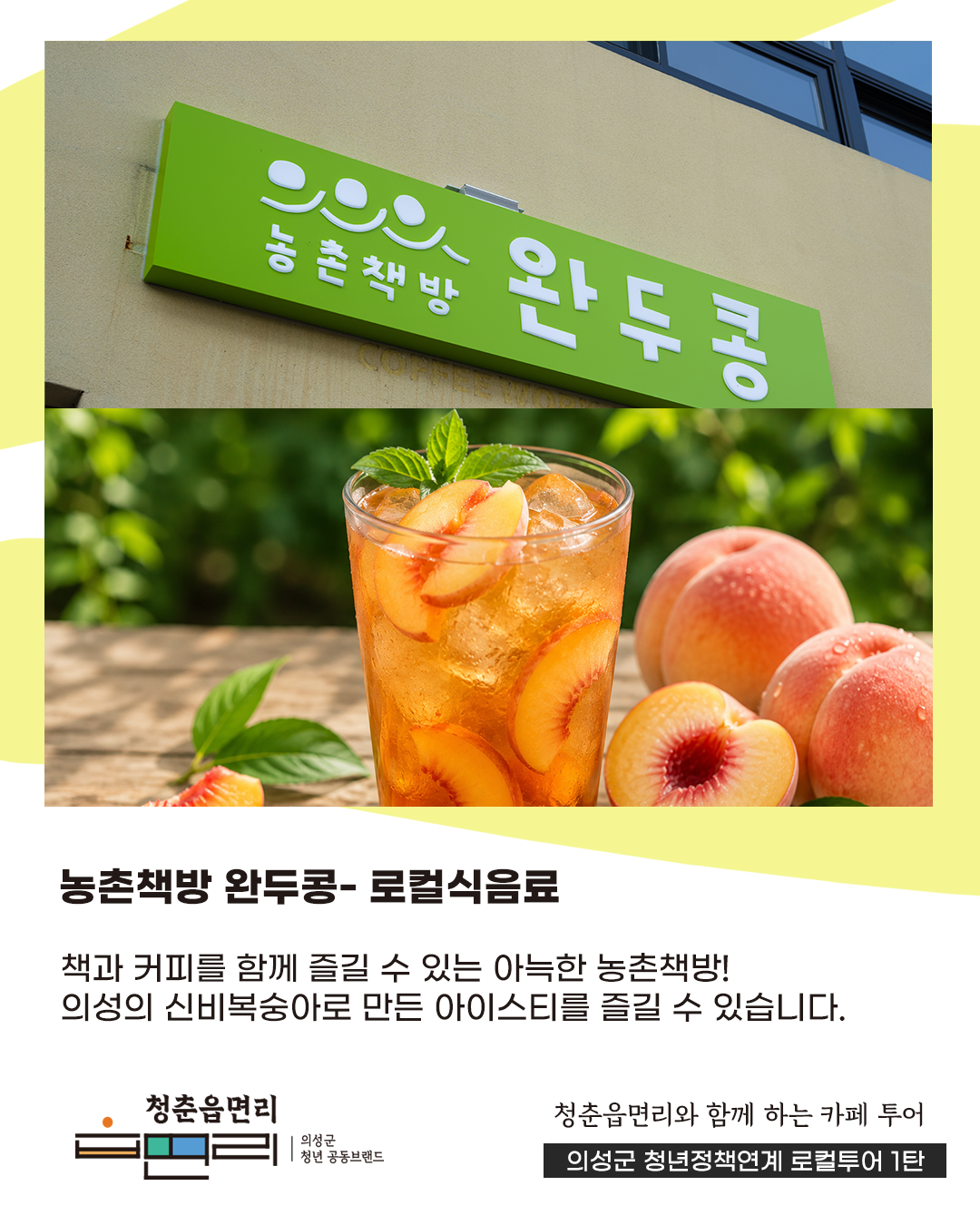 청춘읍면리 카페투어!
