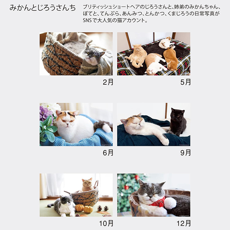 [2027Calendar] 미칸과 지로네 집 탁상 고양이 달력