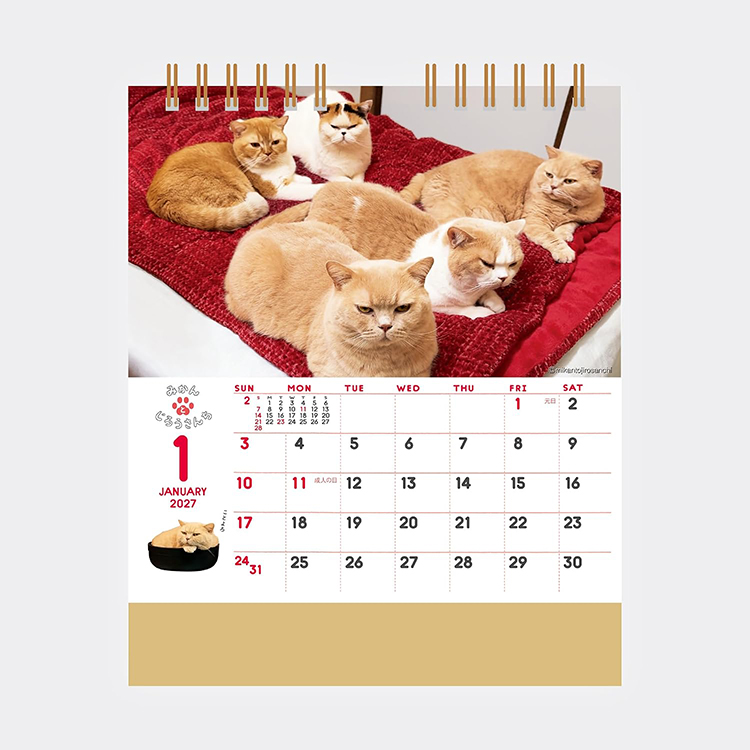 [2027Calendar] 미칸과 지로네 집 탁상 고양이 달력