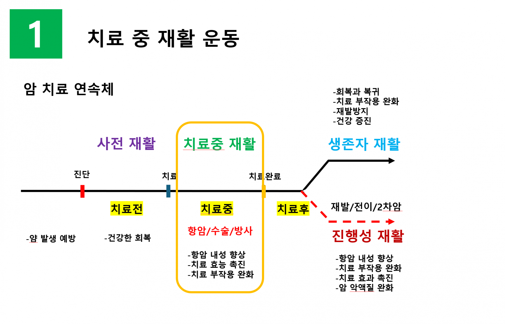 암 치료 연속체