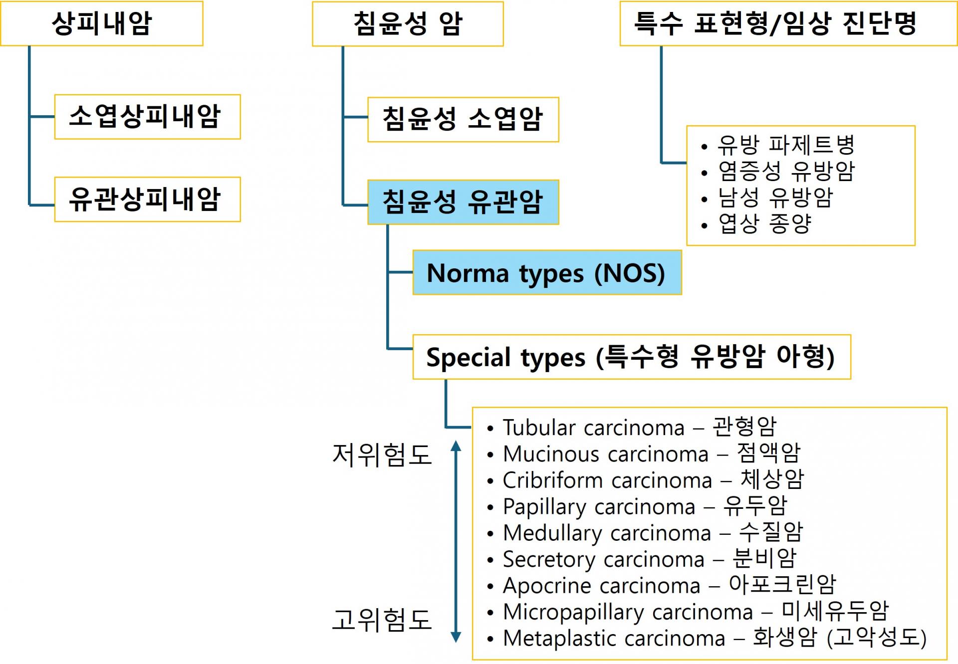 유방암 종류