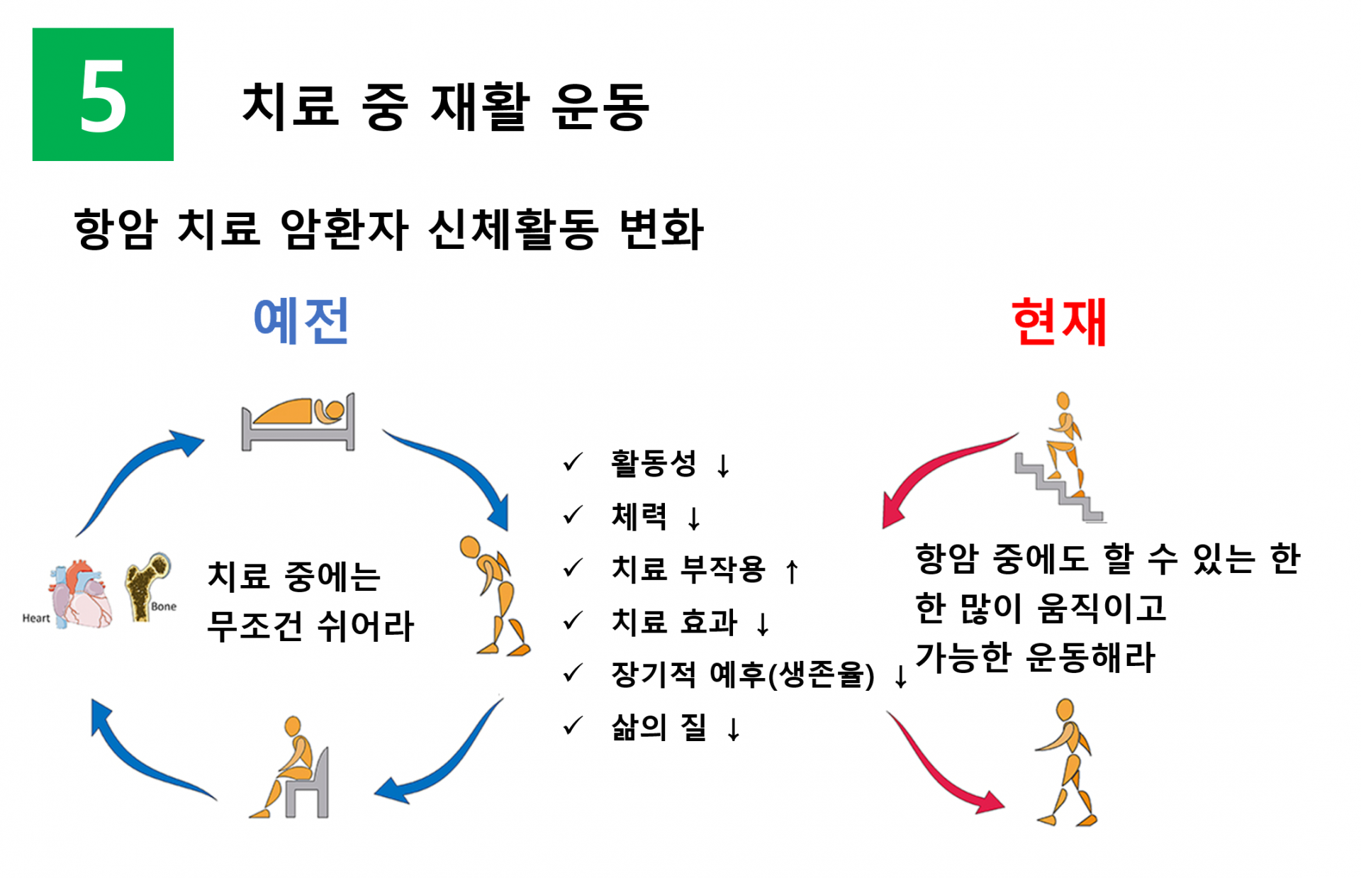 항암치료중 운동의 혜택