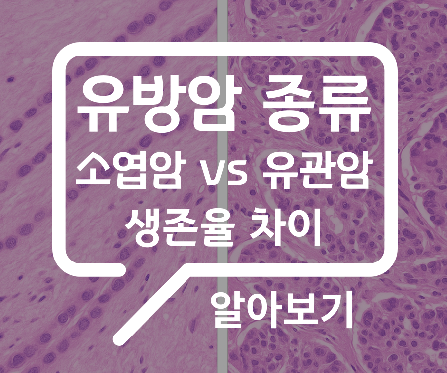 e1e32508f5c24.png