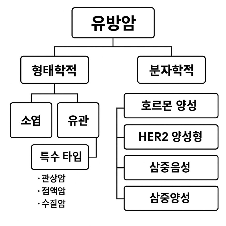 유방암 종류