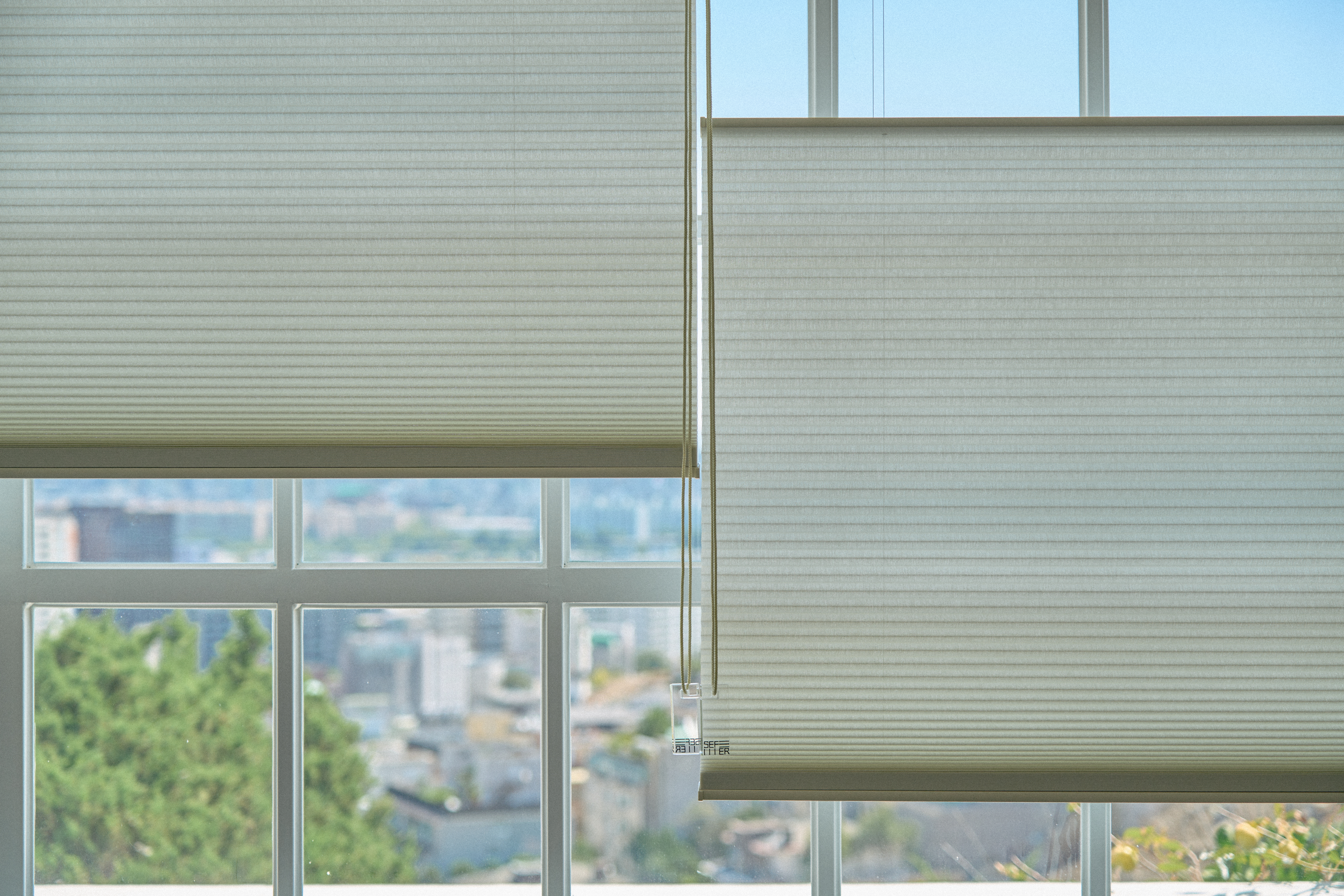 BOLD HONEYCOMB SHADE