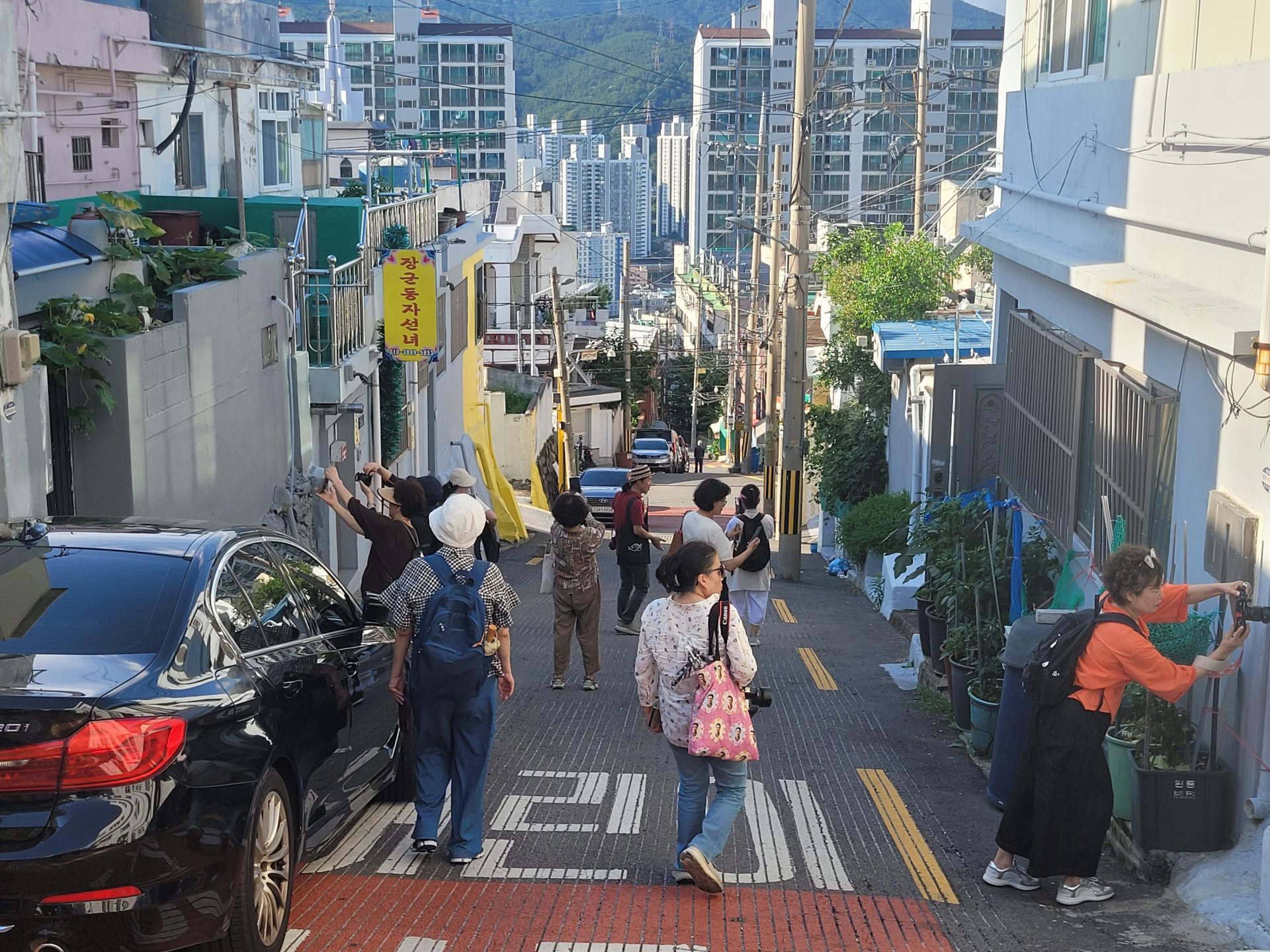 63a2918be4c6d.jpg