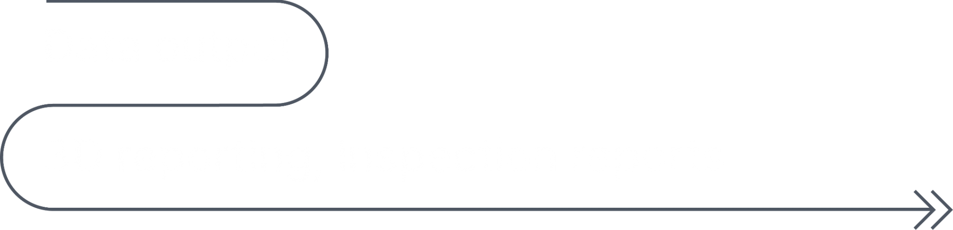 Inspector Software