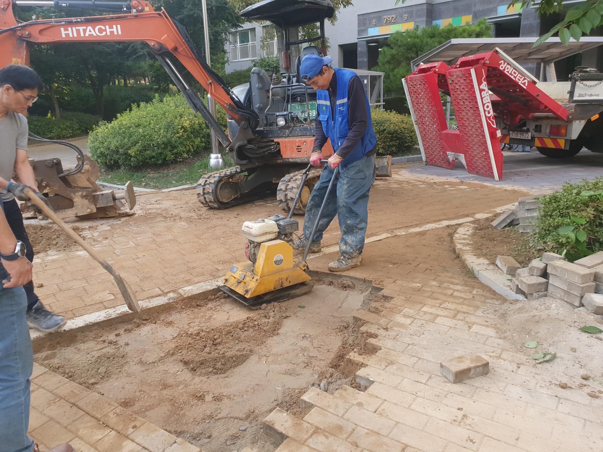 d7ab205e1fa8a.jpg