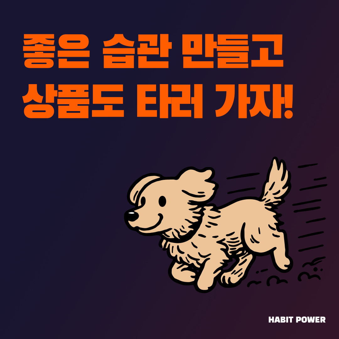 습관 앱 챌린지