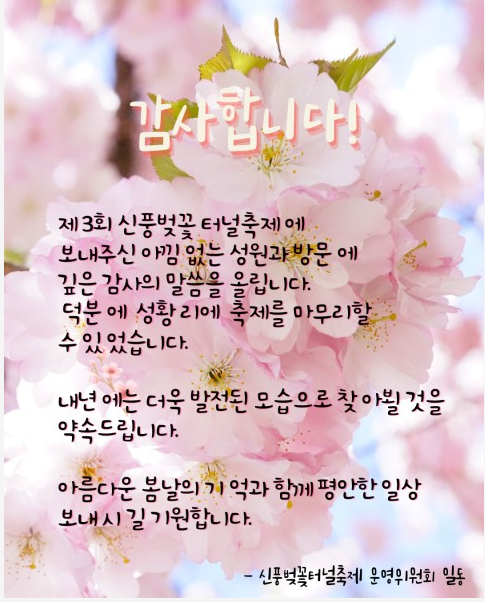 b421a1fa23353.png
