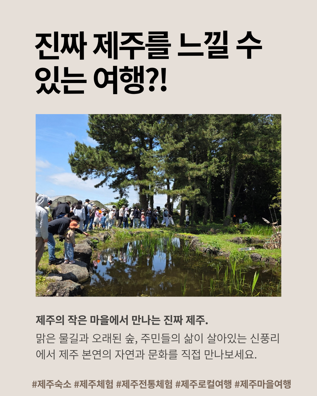 d79291f17a13e.png