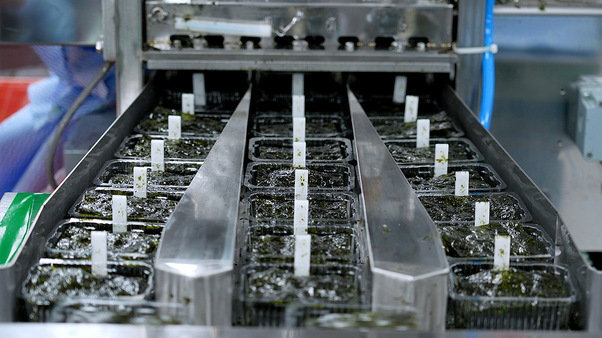 뉴스룸용 추가1.jpg 뉴스룸용 추가1.jpg