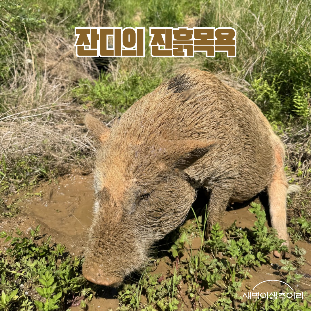 2장.png