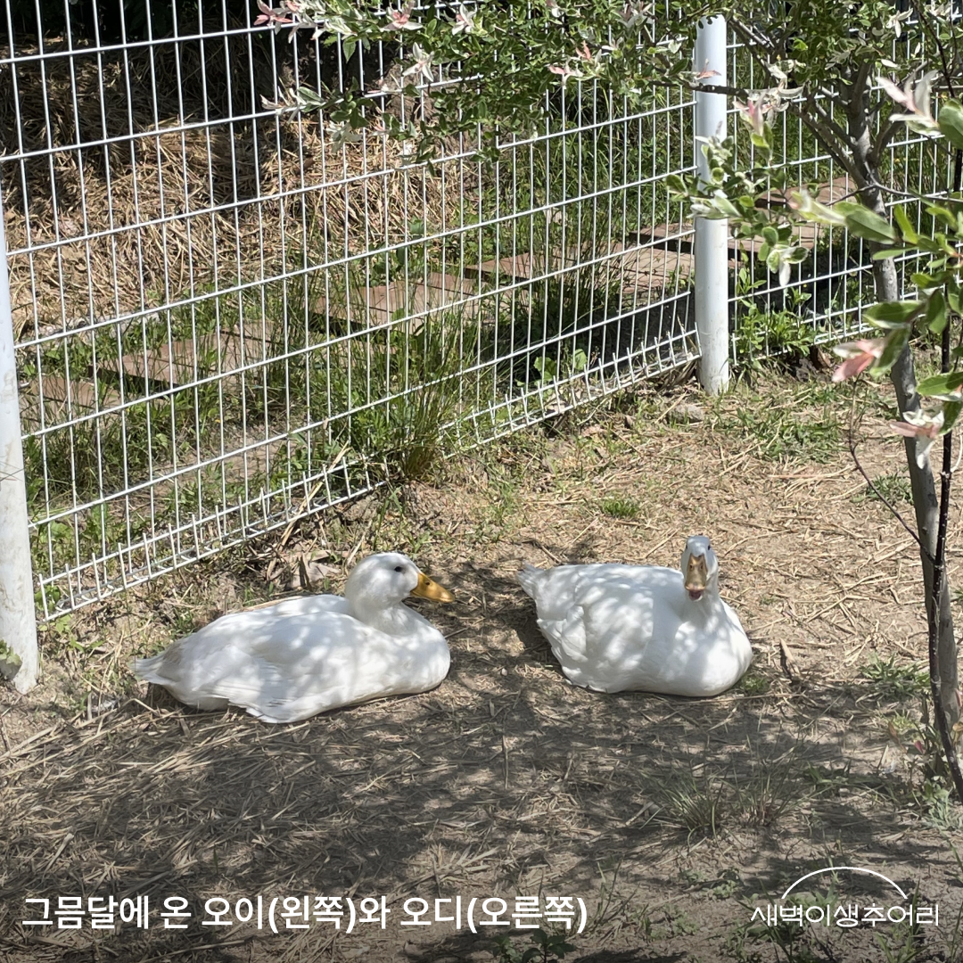 4장.png