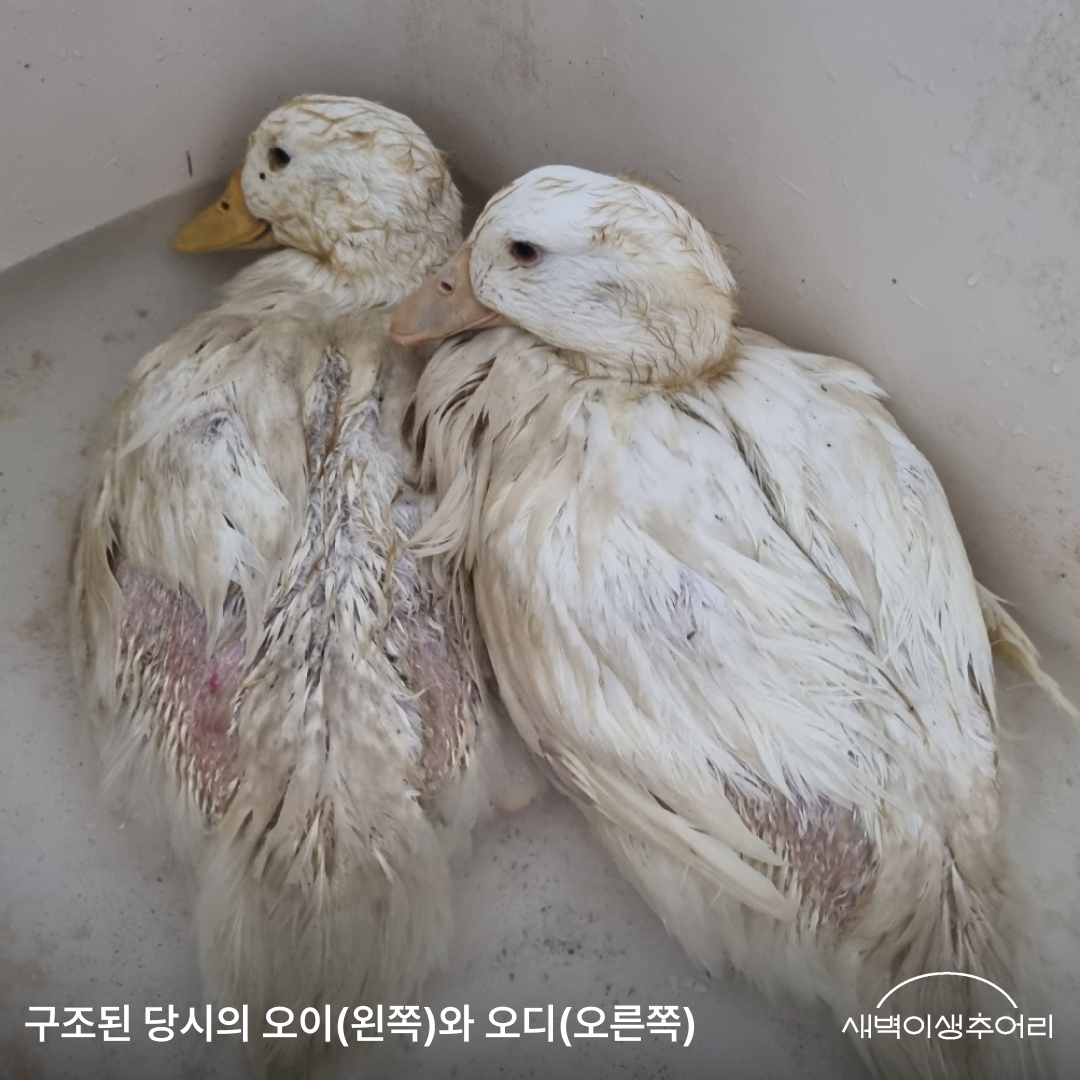2장.png