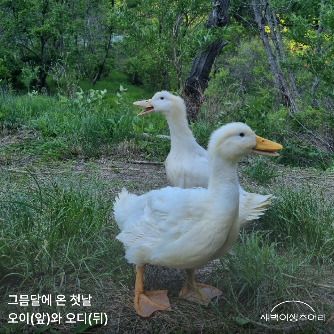 3장.png
