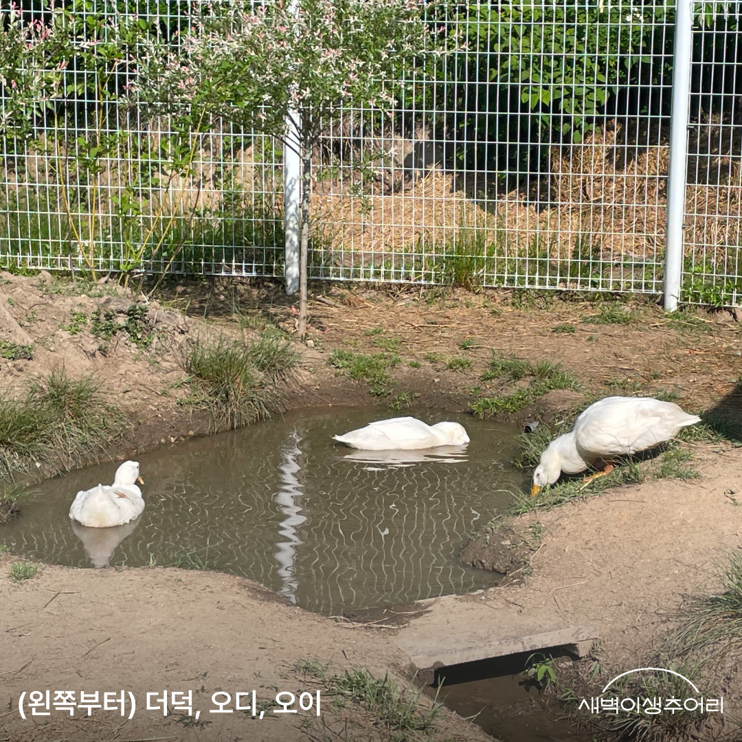 7장.png