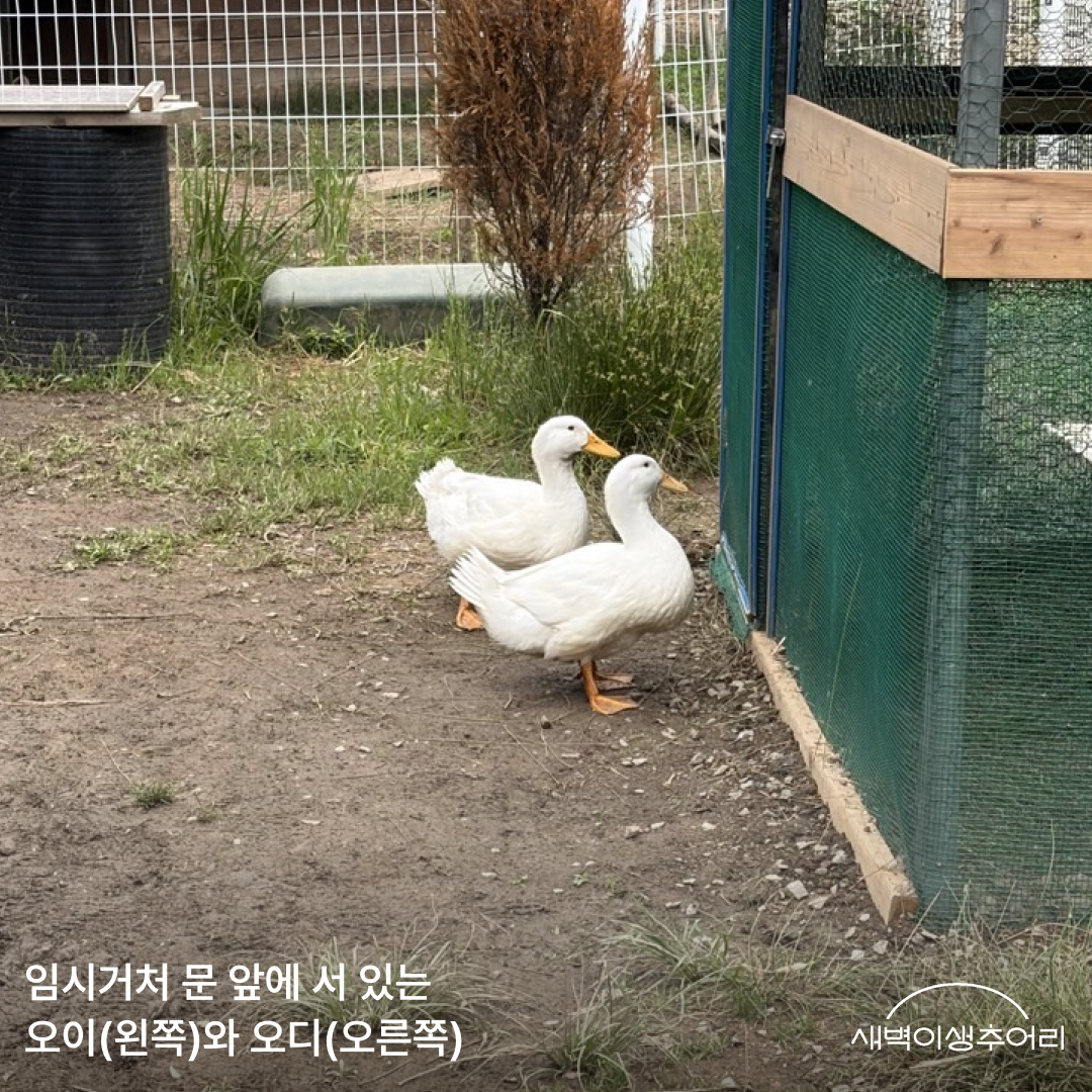 5장.png