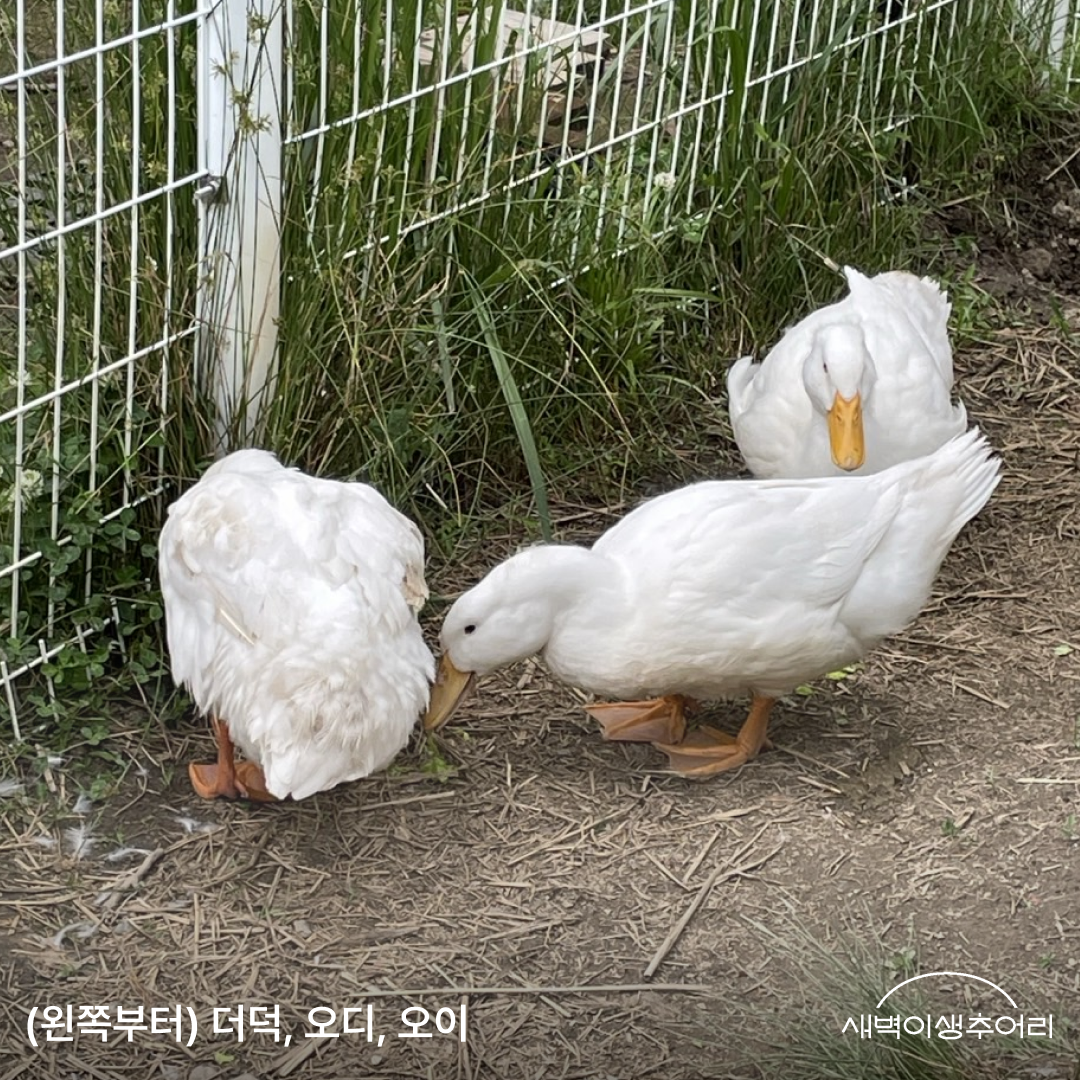 8장.png