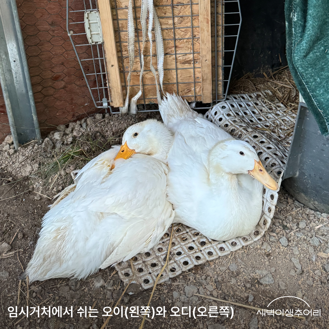 6장.png