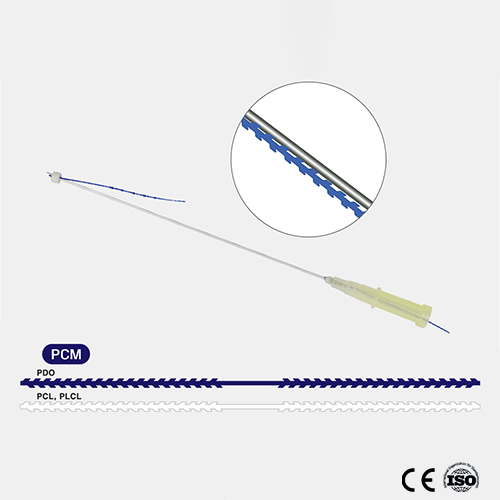 fbd4cc6e42724.jpg
