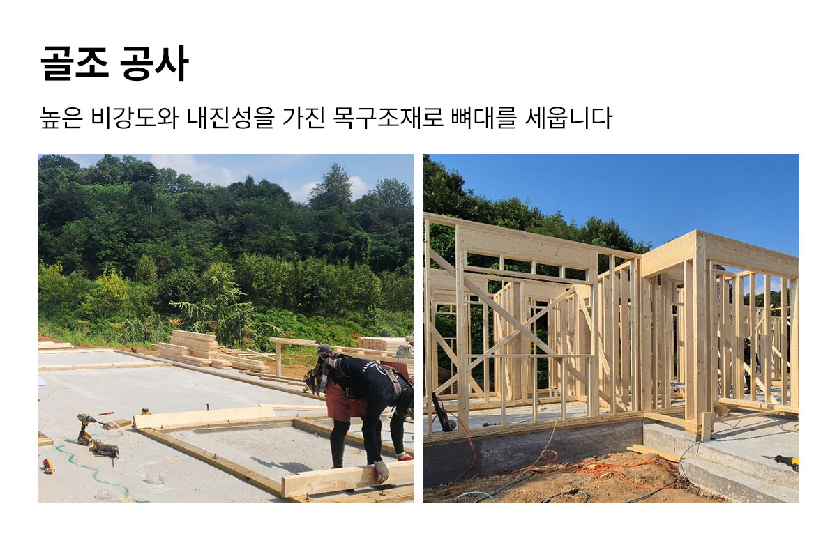 409135fa9ded9.jpg