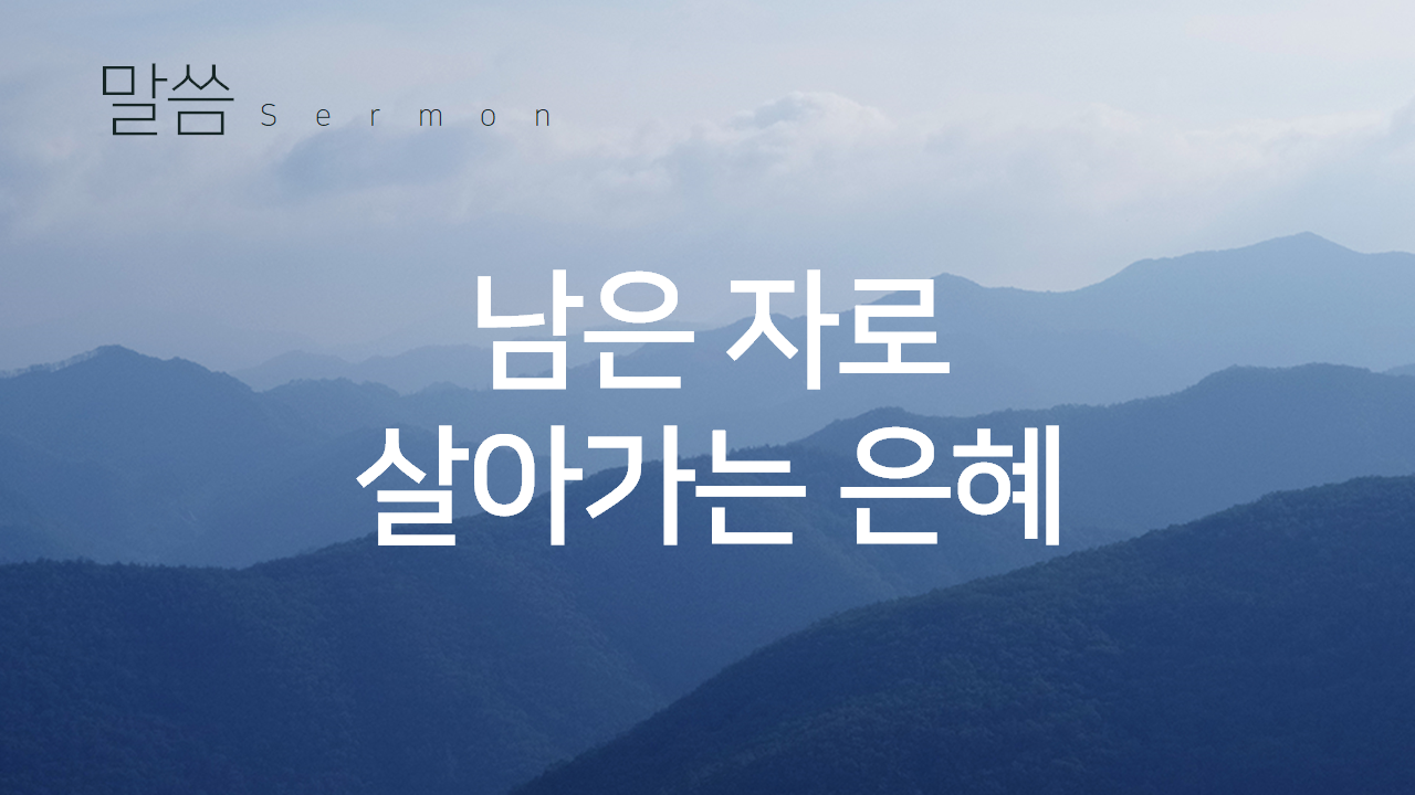 295017a681648.png