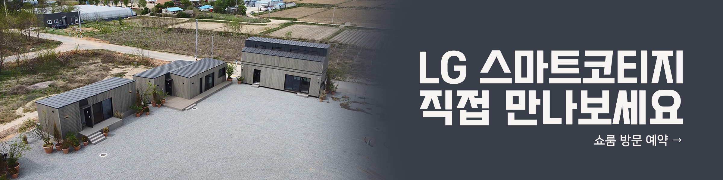 더 리빙 6