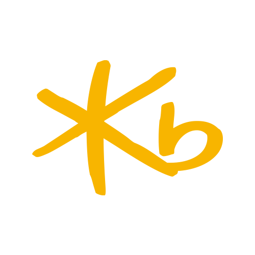 KB손해보험
