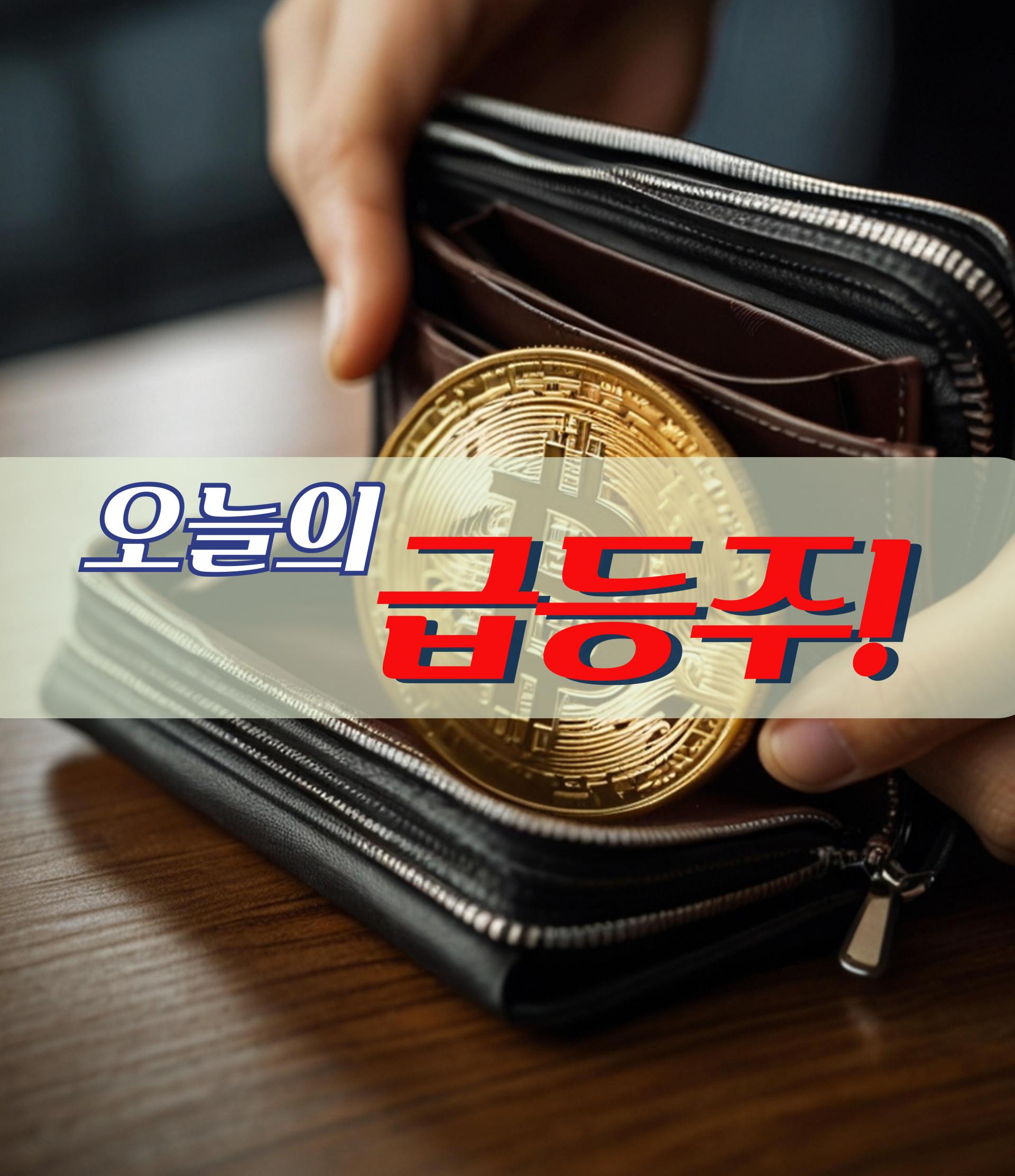 12월 05일 오늘의 급등주 : 돈마니스쿨