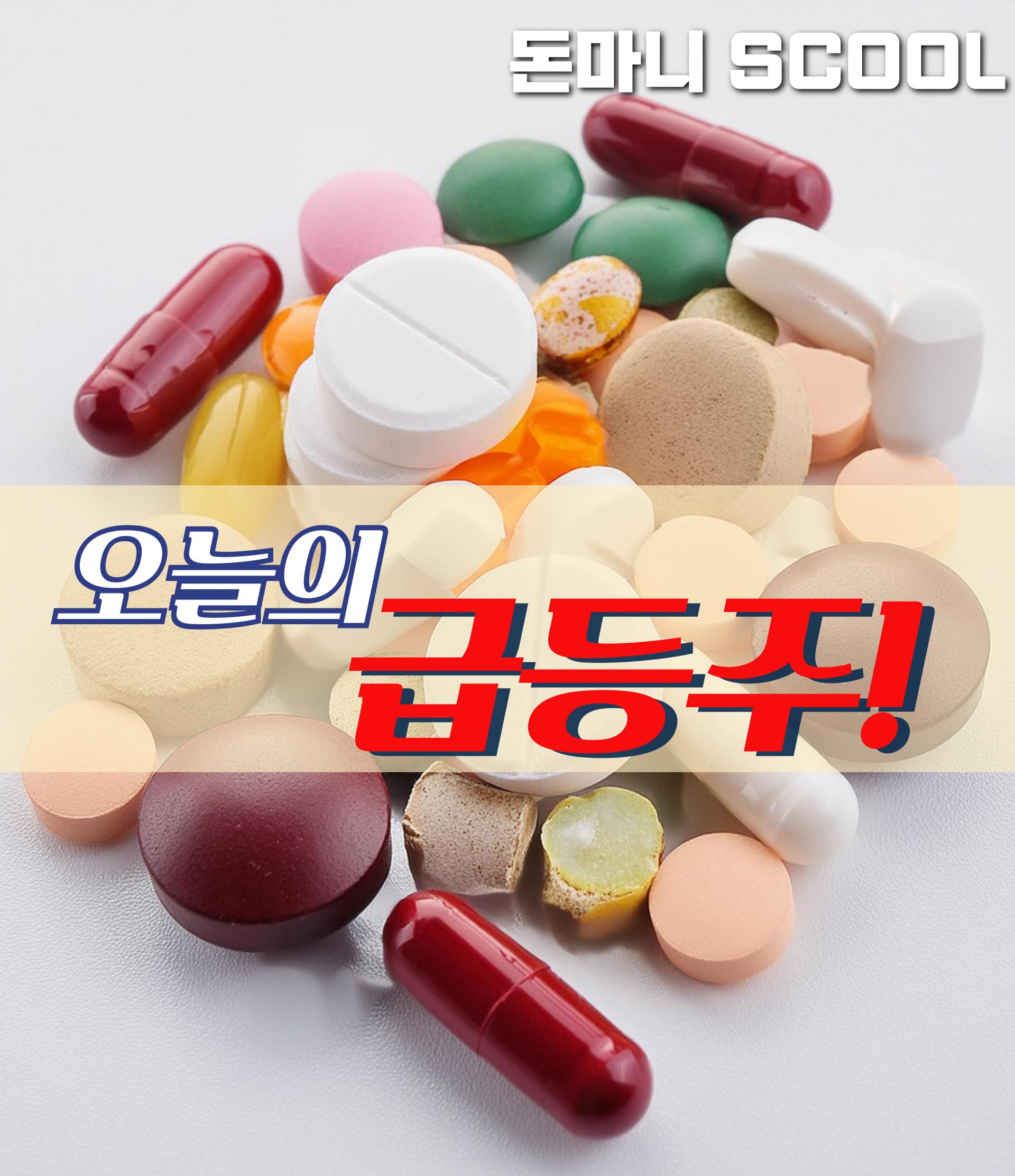 09월 20일 오늘의 급등주 : 돈마니스쿨