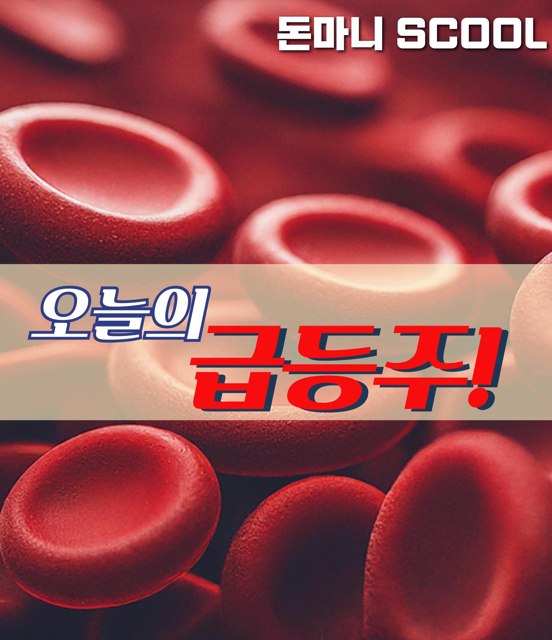 09월 24일 오늘의 급등주 : 돈마니스쿨