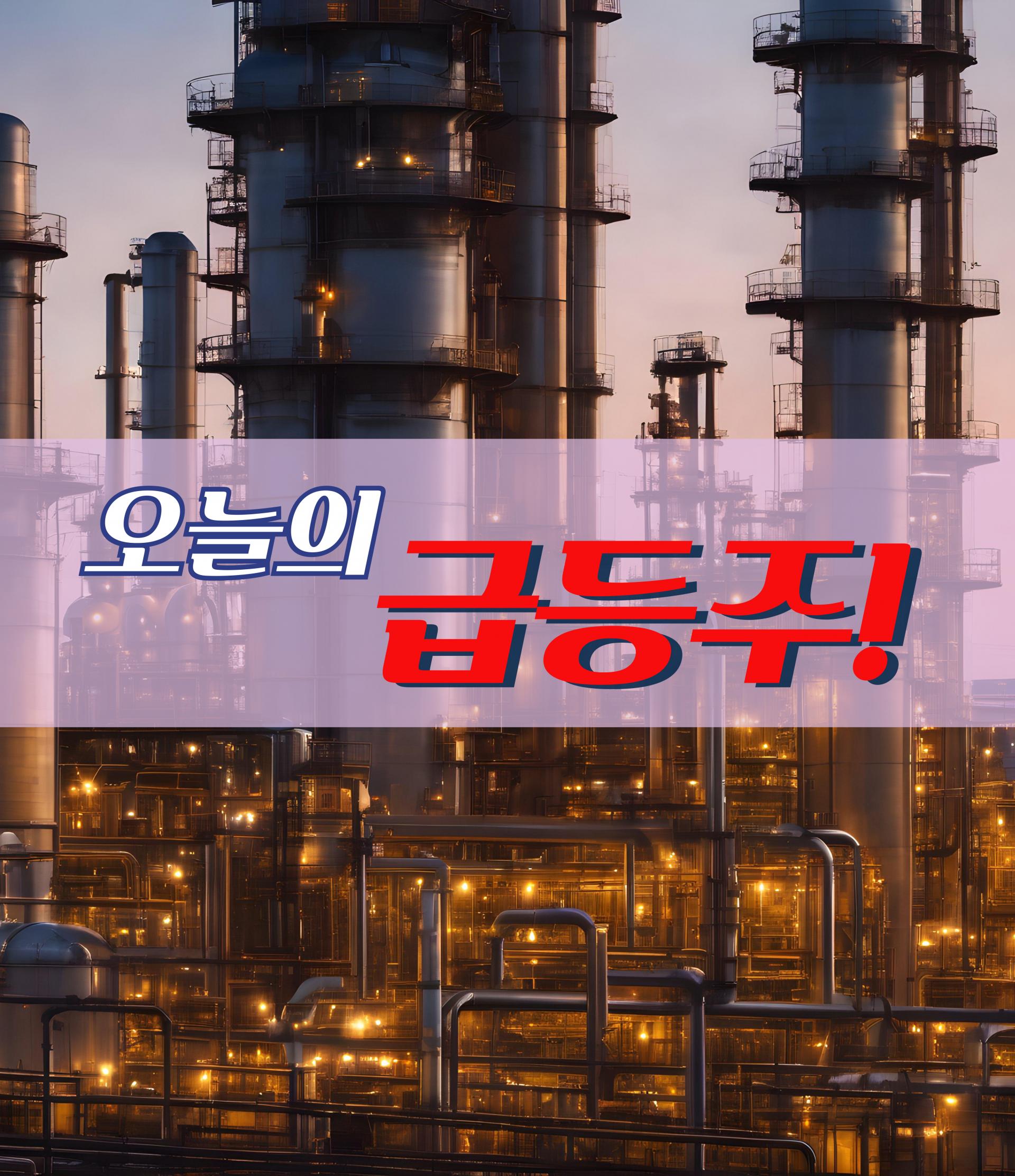 06월 13일 오늘의 급등주 : 돈마니스쿨