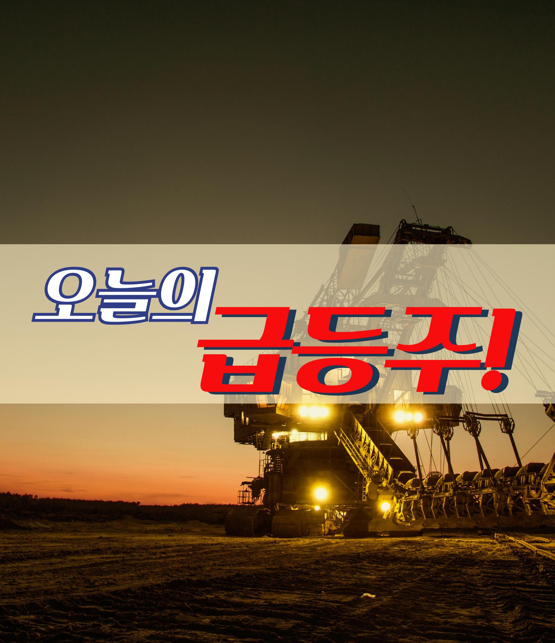 11월 14일 오늘의 급등주 : 돈마니스쿨